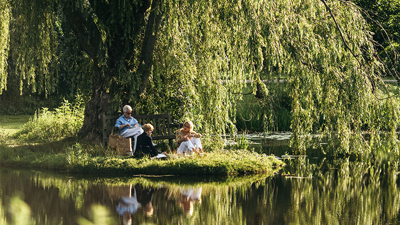 Outdoor photo of seniors under a willow tree